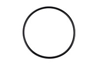 Fobsafe Replacement Large O-Ring for #9550 Bowl