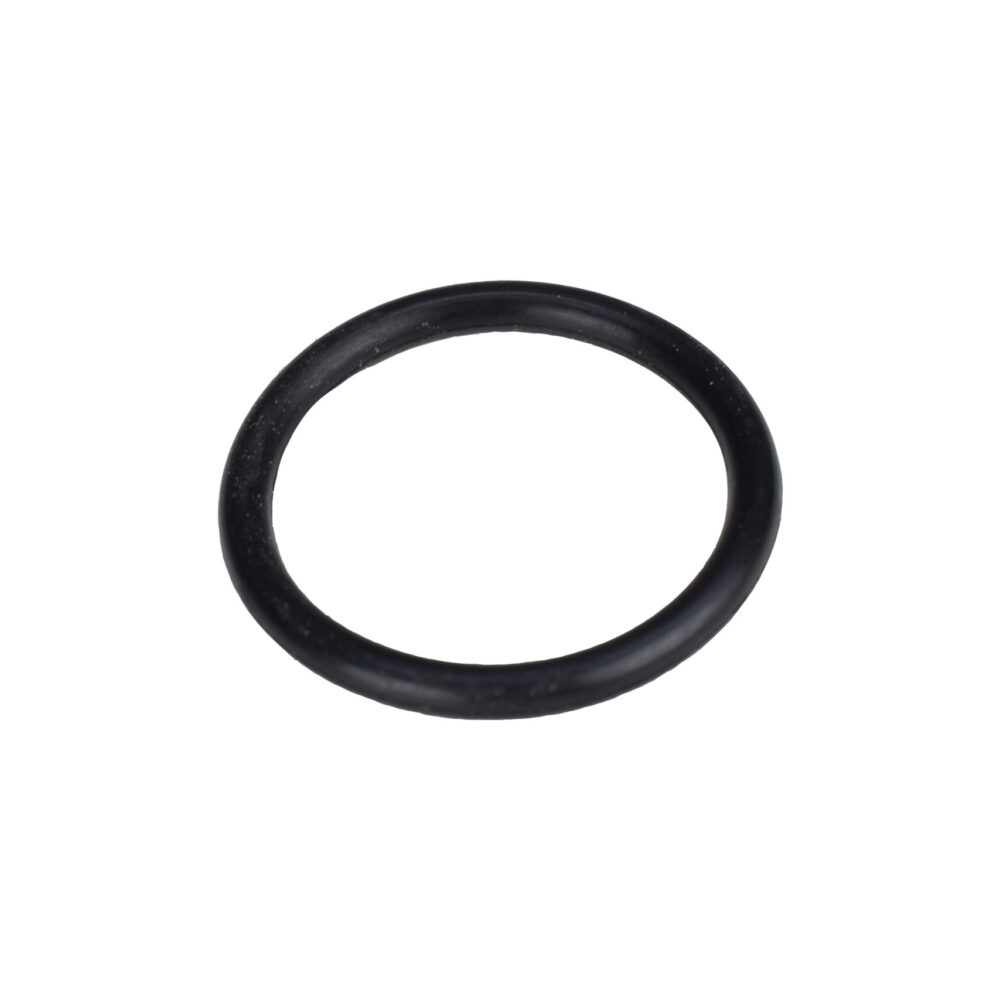 5 Replacement O-Ring for 55S-1, 45, 768-1 and 758 Bodies - O-Ring That is Located Inside the Bodies